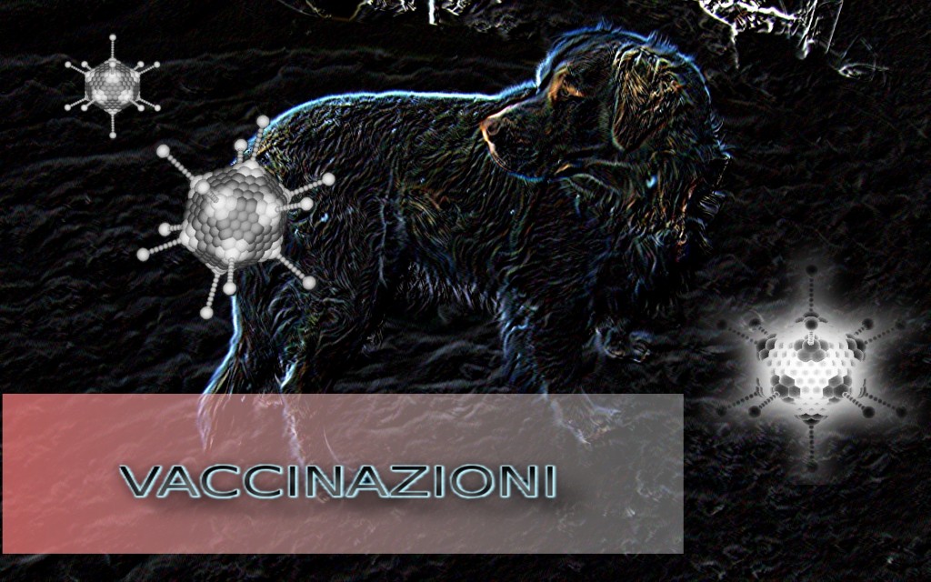 cane_vaccino