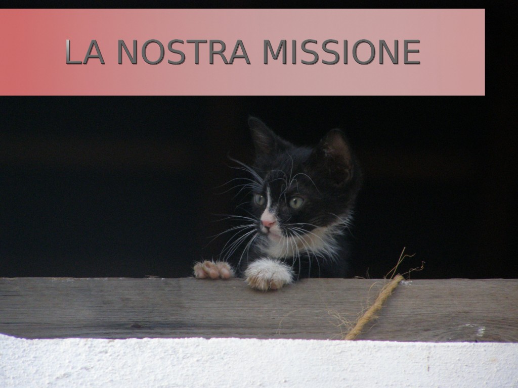 La missione dell'ambulatorio città di Albino